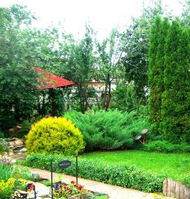 Ландшафтный дизайн с цветами - модель 1