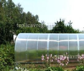 Ленинградские теплицы - тип 4