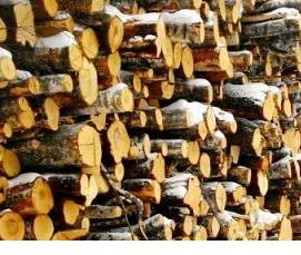 Лес кругляк Дрова - вариант 1