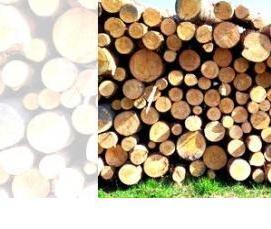 Лес кругляк Дрова - вариант 4