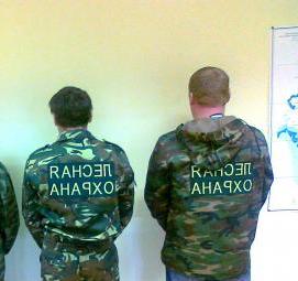 Лесная форменная одежда - модель 2