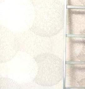 Лестница алюминиевая 6 м - тип 4