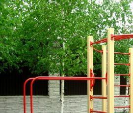 Лестница гимнастическая деревянная - тип 3