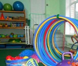 Лестница гимнастическая деревянная - тип 2