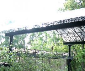 Летний - тип 4