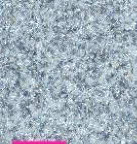 Линолеум Мода 121600 - модель 1