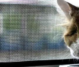 Липкая москитная сетка - модель 1