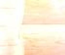 Липовый блок-хаус - тип 3