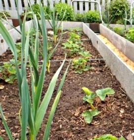 Листы шифера для грядок - модель 3