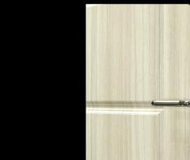 Магнитная входная дверь - модель 3