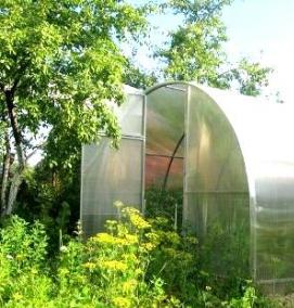 Маленькие теплицы - вариант 1