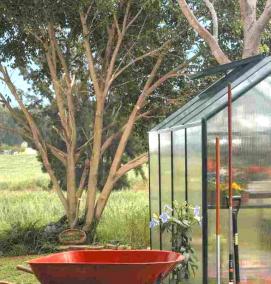 Маленькие теплицы - вариант 2