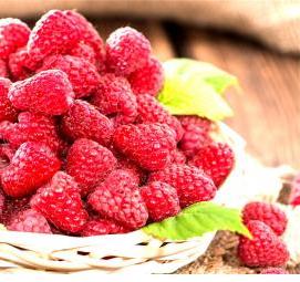 Мапема малина саженцы - вариант 4