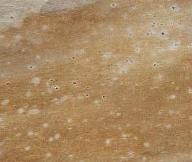 Мебельный щит глянец - тип 1