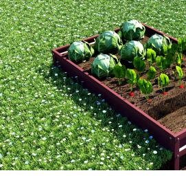 Металлические грядки - вариант 2