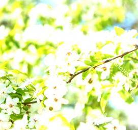 Металлические листы белого цвета - вариант 3