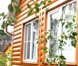 сосна - модель 3