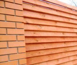 сосна - модель 2