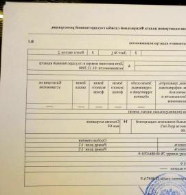 Межевание дома - модель 2