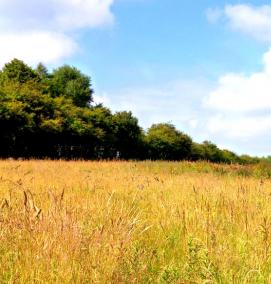 Межевание купленного участка - вариант 3