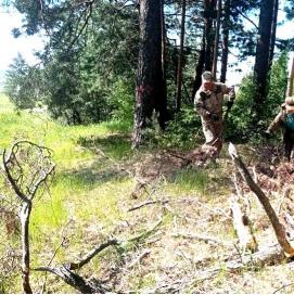 Межевание лесного фонда - модель 4