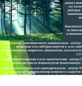 Межевание лесного фонда - модель 2