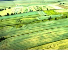 Межевание между участками - модель 3