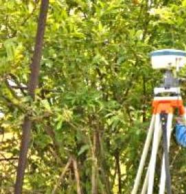 Межевание помещений - тип 4