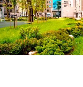 Межевание придомовой территории - модель 1