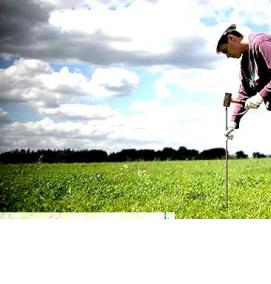 Межевание садоводческих участков - вариант 3