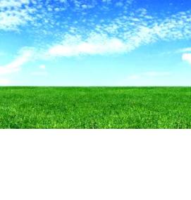 Межевание спорного земельного участка - вариант 2