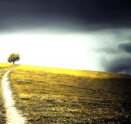 Межевание земельной доли - вариант 1