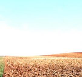 Межевание земельной доли - вариант 4