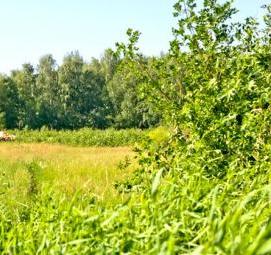 Межевание земельной доли - вариант 2