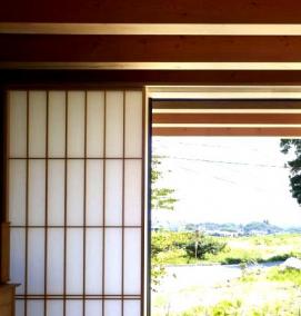 Межкомнатные двери в японском стиле - модель 1