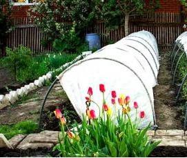 Минские теплицы - модель 1