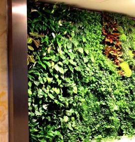 Модульное озеленение - вариант 1