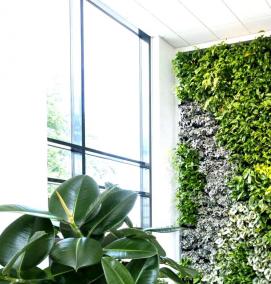 Модульное озеленение - вариант 3