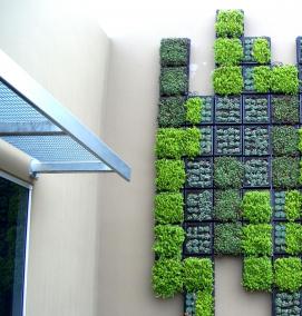 Модульное озеленение - вариант 2