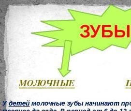 Молочный цемент - модель 4