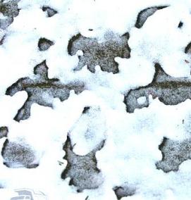 Морозостойкий бетон - тип 1