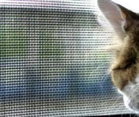 Москитная сетка цветная - тип 3