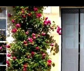 Москитная сетка на молнии - тип 2