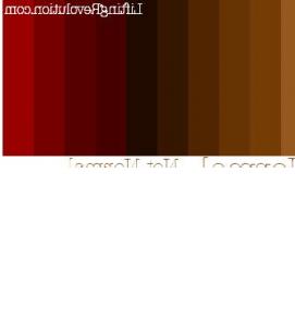 Мозаика коричневого цвета - модель 3