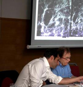 Мультимодальная визуализация - тип 2