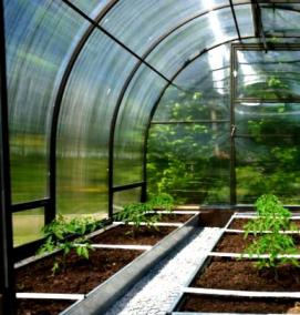 Муромские теплицы - вариант 3