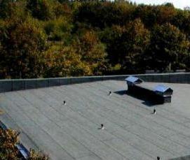 Мягкий рубероид - модель 1