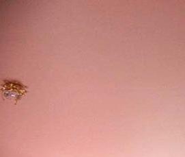 Натяжной потолок бело розовый - вариант 4