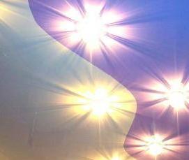 Натяжной потолок с черными цветами - тип 3