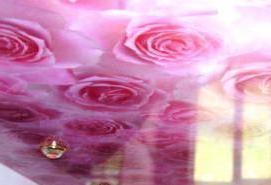 Натяжной потолок с фотопечатью черно белых цветов - модель 1